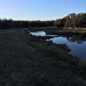 Meet your Posher, Ben